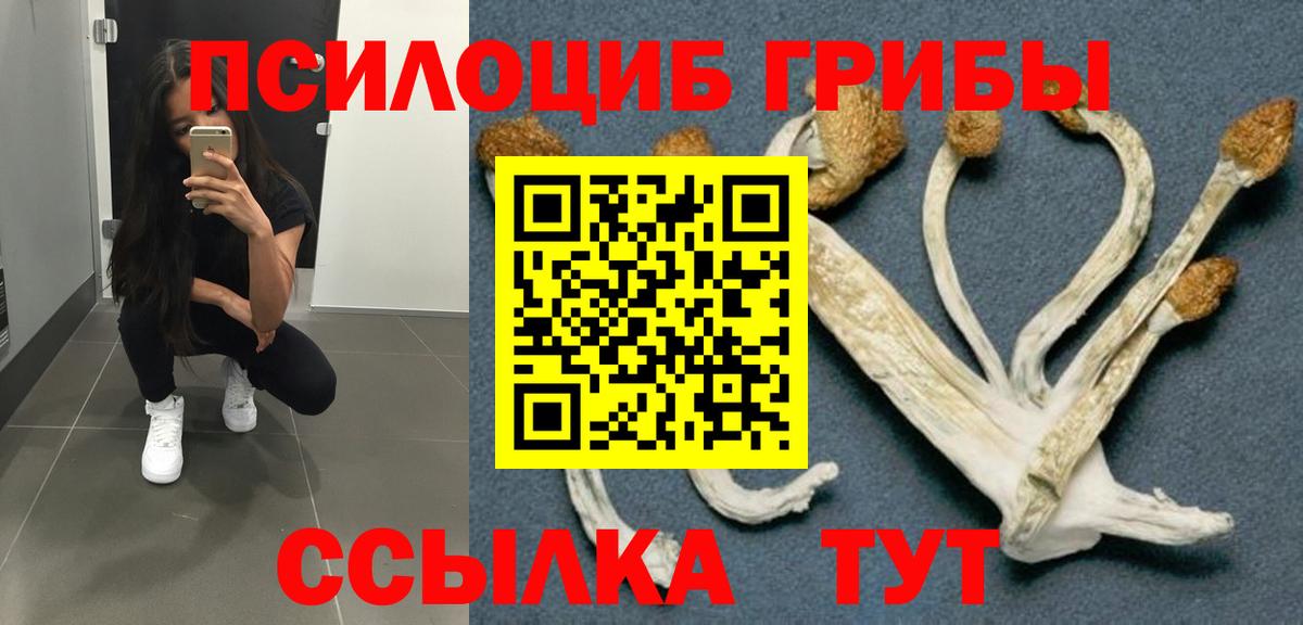 Галлюциногенные грибы Psilocybe Оренбург